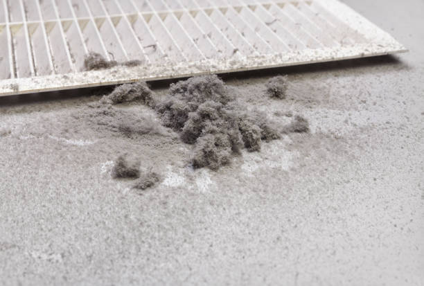Best Professional Duct Cleaning Services  in Agler Beach, FL