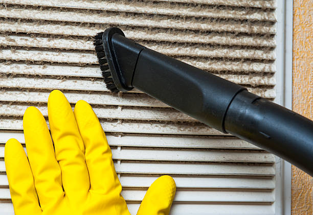 Best Emergency Air Duct Cleaning  in Agler Beach, FL